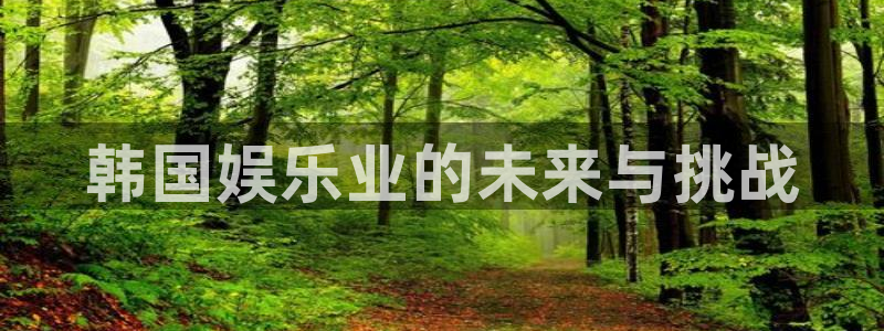 琳琅娱乐注册：韩国娱乐业的未来与挑战