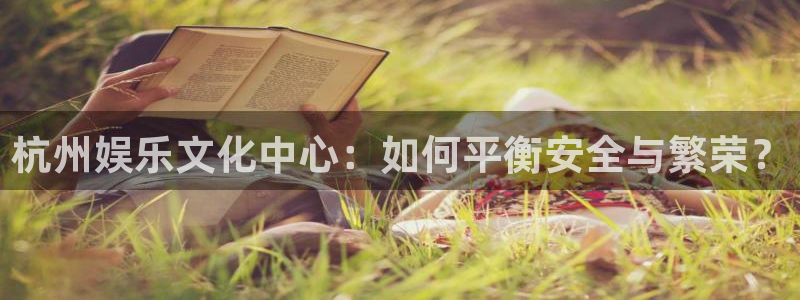 琳琅娱乐注册：杭州娱乐文化中心：如何平衡安全与繁荣？
