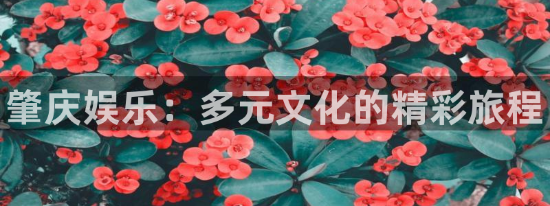 琳琅娱乐注册：肇庆娱乐：多元文化的精彩旅程