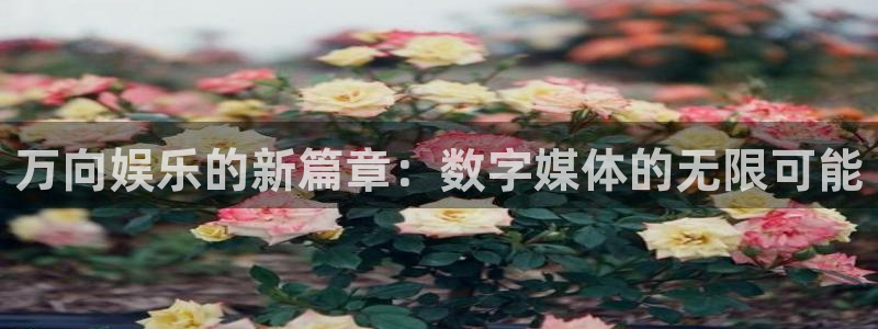 琳琅娱乐：万向娱乐的新篇章：数字媒体的无限可能