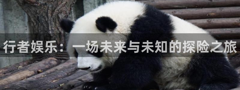 琳琅娱乐注册：行者娱乐：一场未来与未知的探险之旅