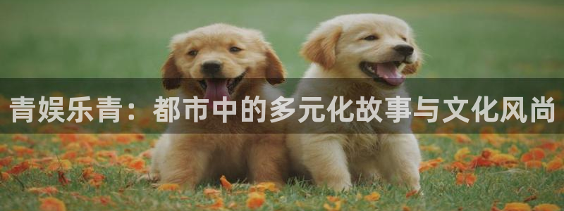upload/20250701114914.jpg
