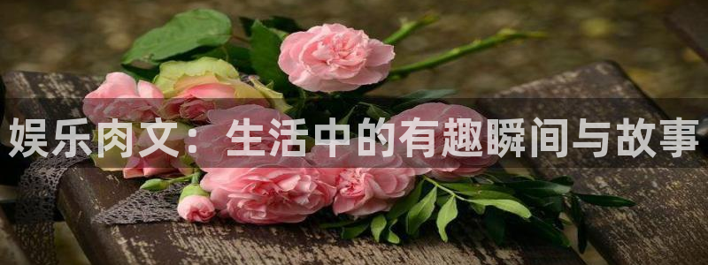 琳琅娱乐：娱乐肉文：生活中的有趣瞬间与故事