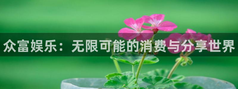 琳琅娱乐：众富娱乐：无限可能的消费与分享世界