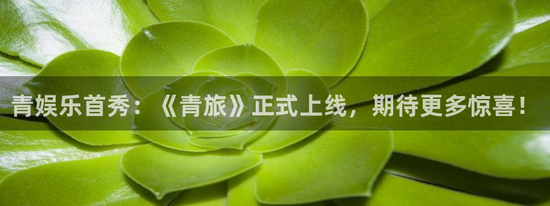 琳琅娱乐：青娱乐首秀：《青旅》正式上线，期待更多惊喜！