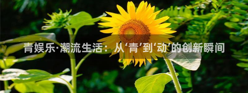 upload/20250701114914.jpg